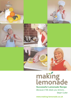 Successful Lemonade Recipe