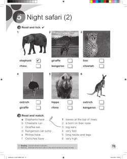 Night safari (2)