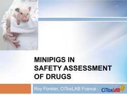 MINIPIGS IN SAFETY ASSESSMENT OF DRUGS