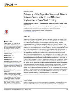 Ontogeny of the Digestive System of Atlantic Salmon