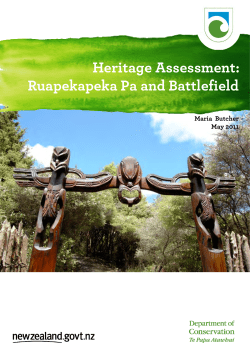Ruapekapeka Pā and battlefield heritage assessment (PDF, 2, 239 K)