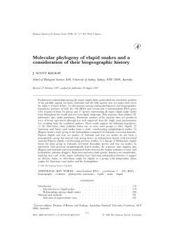 Molecular phylogeny of elapid snakes and a consideration of their