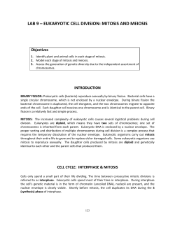 LAB 9 &ndash; EUKARYOTIC CELL DIVISION: MITOSIS AND MEIOSIS