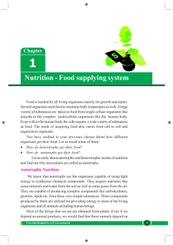 Nutrition - Food supplying system