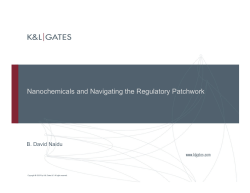 Nanochemicals and Navigating the Regulatory Patchwork