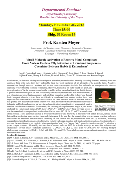 Departmental Seminar Prof. Karsten Meyer