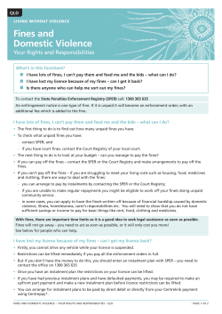 Fines and Domestic Violence