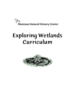 Exploring Wetlands Curriculum - Montana Natural History Center