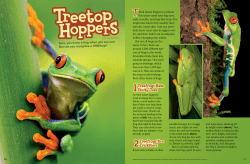 Sure, you know a frog when you see one. But can you recognize a