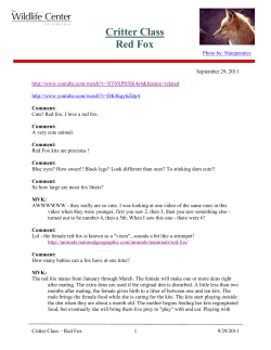 Critter Class Red Fox - The Wildlife Center of Virginia