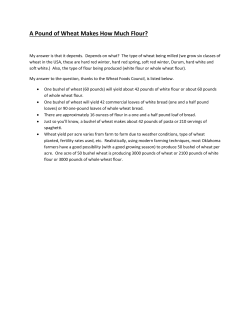 A Pound of Wheat Makes How Much Flour?