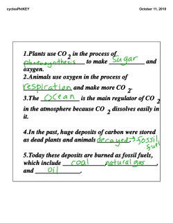 1.Plants use CO2 in the process of 3.The is the main