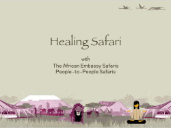 Healing Safari - Dr. Tanya Pergola