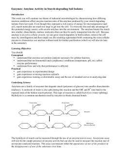 Enzymes: Amylase Activity in Starch