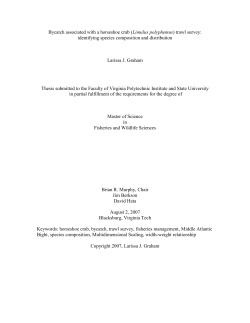 Bycatch associated with a horseshoe crab (Limulus polyphemus