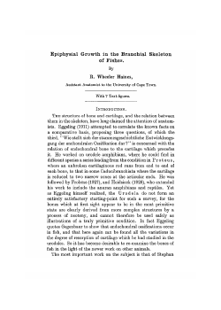 Epiphysial Growth in the Branchial Skeleton of Fishes.