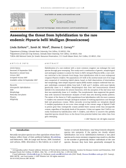 Assessing the threat from hybridization to the rare endemic Physaria
