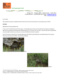 Cat Conservation Trust1 PO Box 713 ~ Cradock, 5880 ~ Eastern Cape