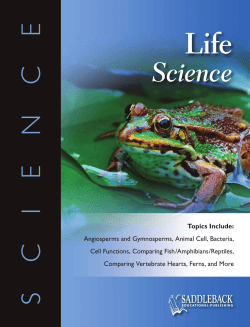Life Science_int.indd - Saddleback Educational Publishing