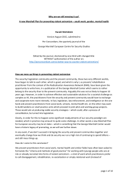 A new Marshall Plan for preventing violent extremism