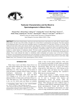 Effects of the Pattern of Energy Supply on the Efficiency of Nitrogen
