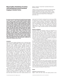 Blood Capillary Distribution Correlates with Hemodynamic