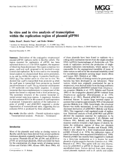 In vitro and in vivo analysis of transcription within the replication