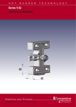 Hot Runner Manifold Series V-42 50 42
