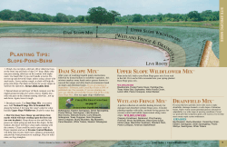 slope - Native American Seed