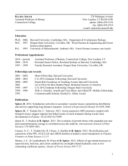 Rachel Spicer curriculum vitae
