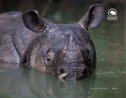 2014 Annual Report - International Rhino Foundation