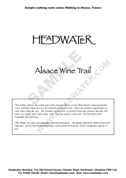 Alsace Wine Trail Alsace Wine Trail