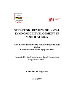 gtz report: strategic review of local economic development