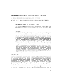 the development of surface specialization in the