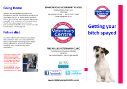 Getting your bitch spayed