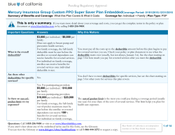 Mercury Insurance Group Custom PPO Super Saver Plan