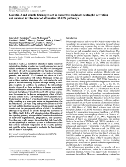Galectin-3 and soluble fibrinogen act in concert