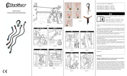 Fossil Lanyard - B10