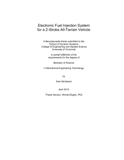 Electronic fuel injection system for a 2-stroke all