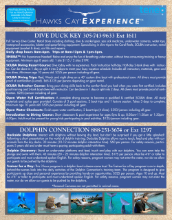 DIVE DUCK KEY 305-743-9633 Ext 1611 DOLPHIN CONNECTION