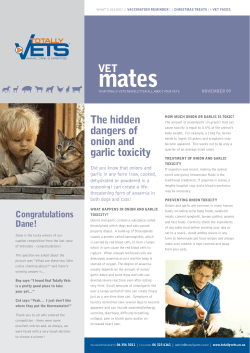 Totally Vets - VetMates