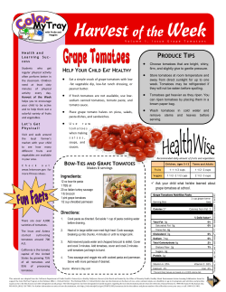 Grape Tomatoes - School Nutrition and Fitness