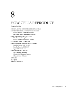 how cells reproduce