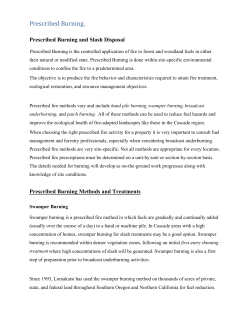 Prescribed Burning. - Lomakatsi Restoration Project