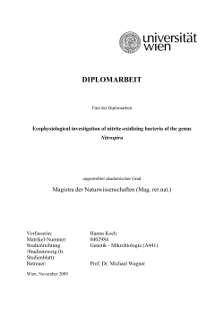 diplomarbeit - E