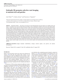 Hydraulic lift promotes selective root foraging in nutrient