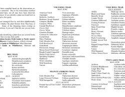 Common Wildflowers at Hunt Hill