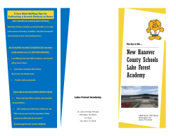Mindset Brochure