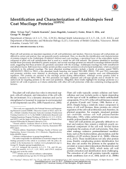 Identification and Characterization of Arabidopsis