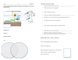 2-6-cellularrespiration